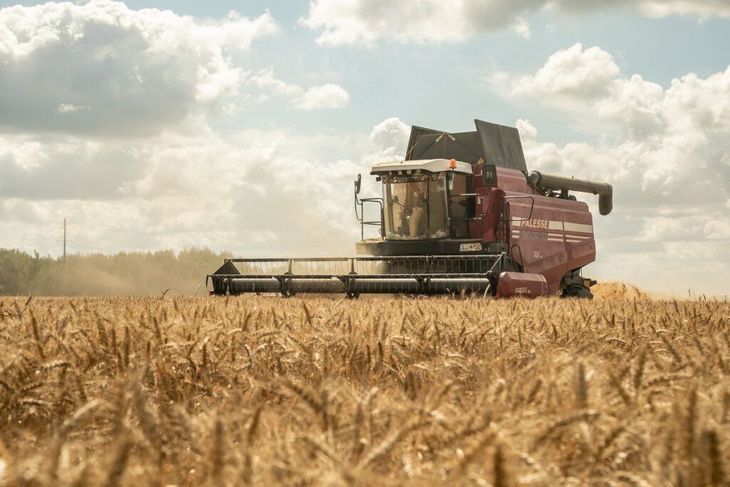 IMG 20240719 192541 268