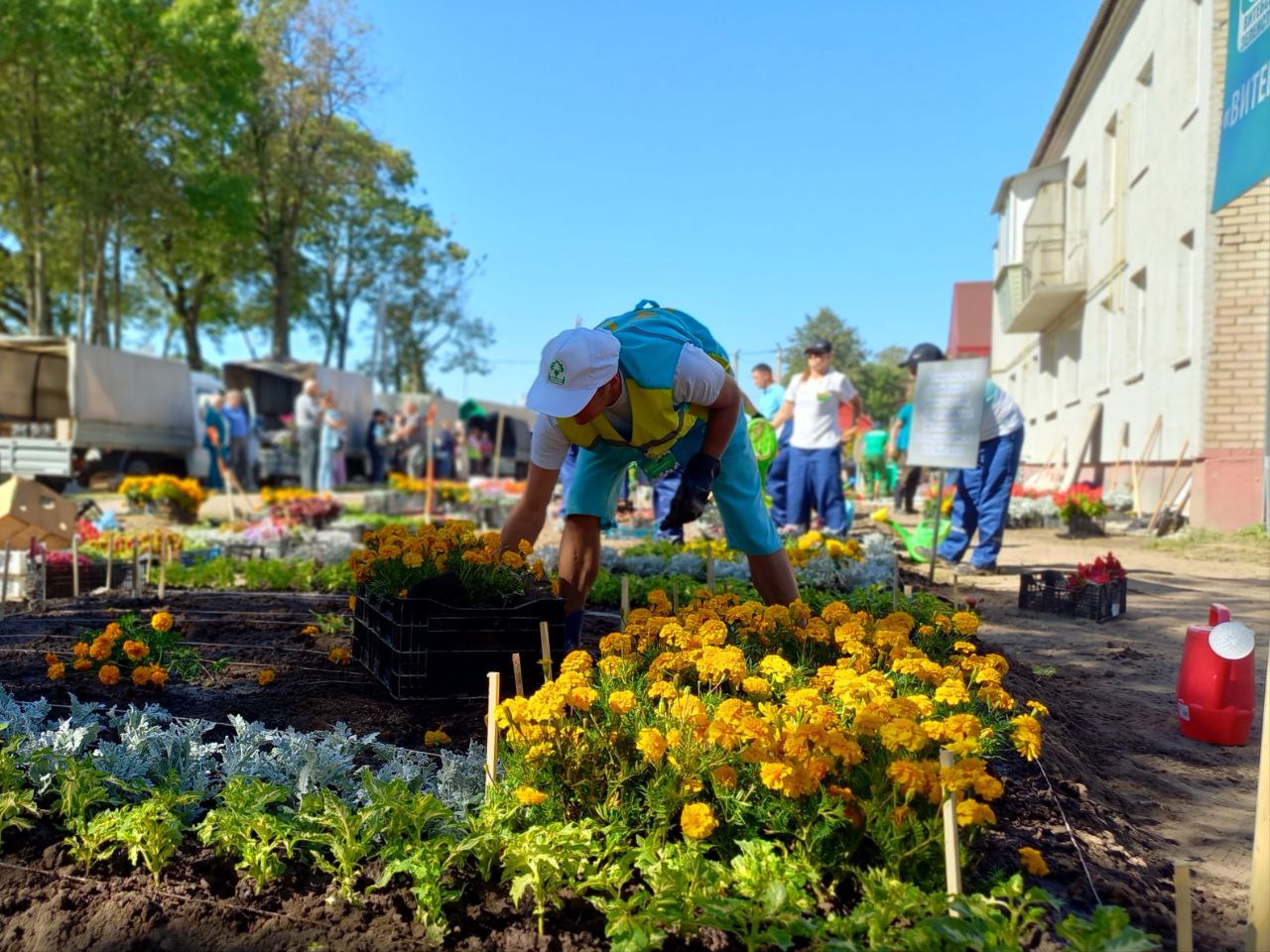 IMG 20240906 115504 474