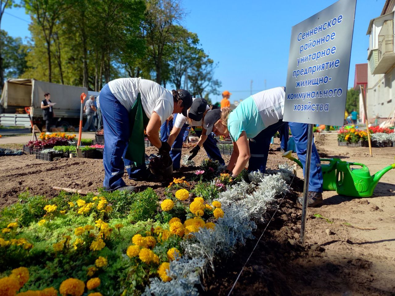 IMG 20240906 115504 515