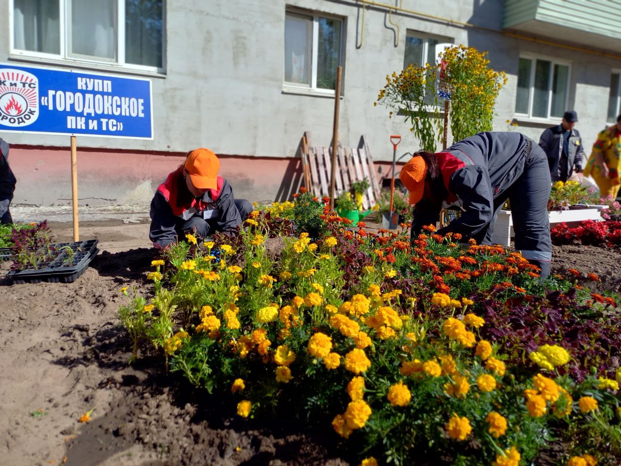 IMG 20240906 115504 866