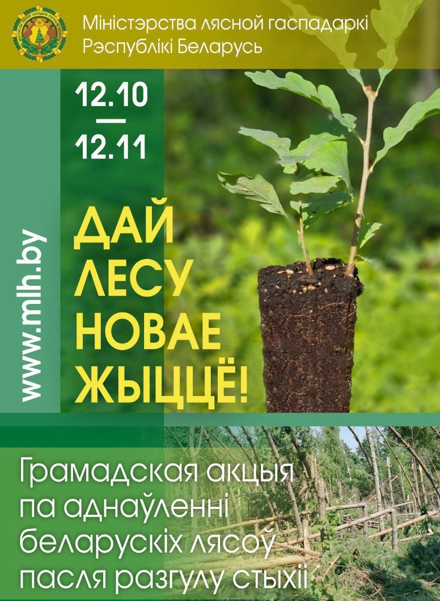 photo 2024 10 11 11 02 43