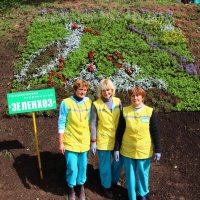 Областной смотр-конкурс профмастерства Городок август 2014