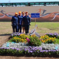 Областной конкурс профмастерства г.Браслав август 2019