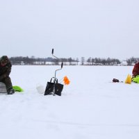 Областные соревнования по подледному лову рыбы январь 2019